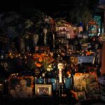Galería de Fotos 76