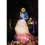 Galería de Fotos 77