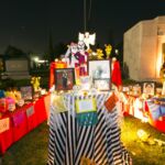 Galería de Fotos 77