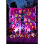 Galería de Fotos 78