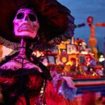 Galería de Fotos 79