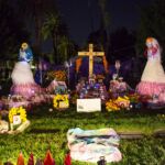Galería de Fotos 92