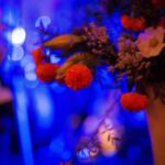 Galería de Fotos 43