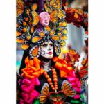 Galería de Fotos 12
