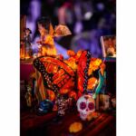 Galería de Fotos 18