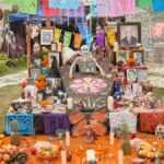 Galería de Fotos 43