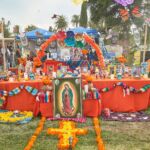 Galería de Fotos 47