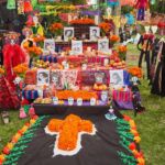 Galería de Fotos 49
