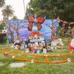 Galería de Fotos 50