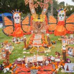 Galería de Fotos 52