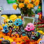 Galería de Fotos 62
