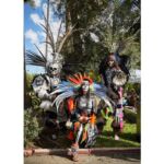 Galería de Fotos 78