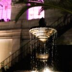 Galería de Fotos 72
