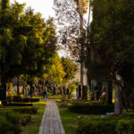 Galería de Fotos 49