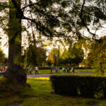 Galería de Fotos 52