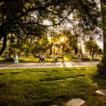 Galería de Fotos 53