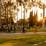 Galería de Fotos 51