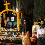 Galería de Fotos 96