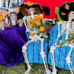 Galería de Fotos 76