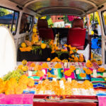 Galería de Fotos 71