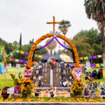 Galería de Fotos 54