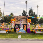 Galería de Fotos 52