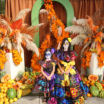 Galería de Fotos 458