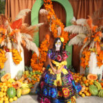 Galería de Fotos 459