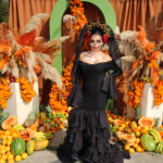 Galería de Fotos 478