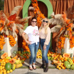 Galería de Fotos 494