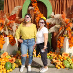 Galería de Fotos 500