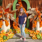 Galería de Fotos 517