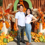 Galería de Fotos 528