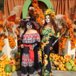 Galería de Fotos 555