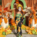 Galería de Fotos 556