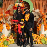 Galería de Fotos 579