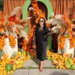 Galería de Fotos 582