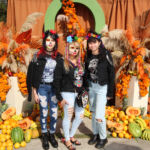 Galería de Fotos 589