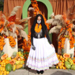 Galería de Fotos 593