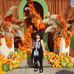 Galería de Fotos 608
