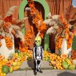 Galería de Fotos 609