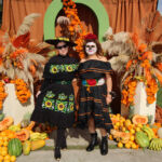 Galería de Fotos 620