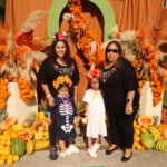 Galería de Fotos 650