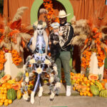 Galería de Fotos 667