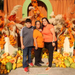 Galería de Fotos 710