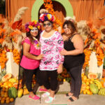 Galería de Fotos 718