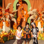 Galería de Fotos 766
