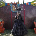 Galería de Fotos 71