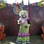 Galería de Fotos 77