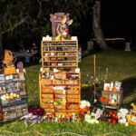 Galería de Fotos 101